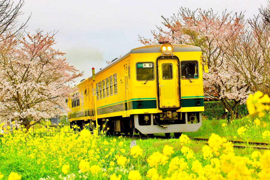 いすみ鉄道 大多喜ー大原 2024年夏 千葉日帰り⑦終 | @sushiの