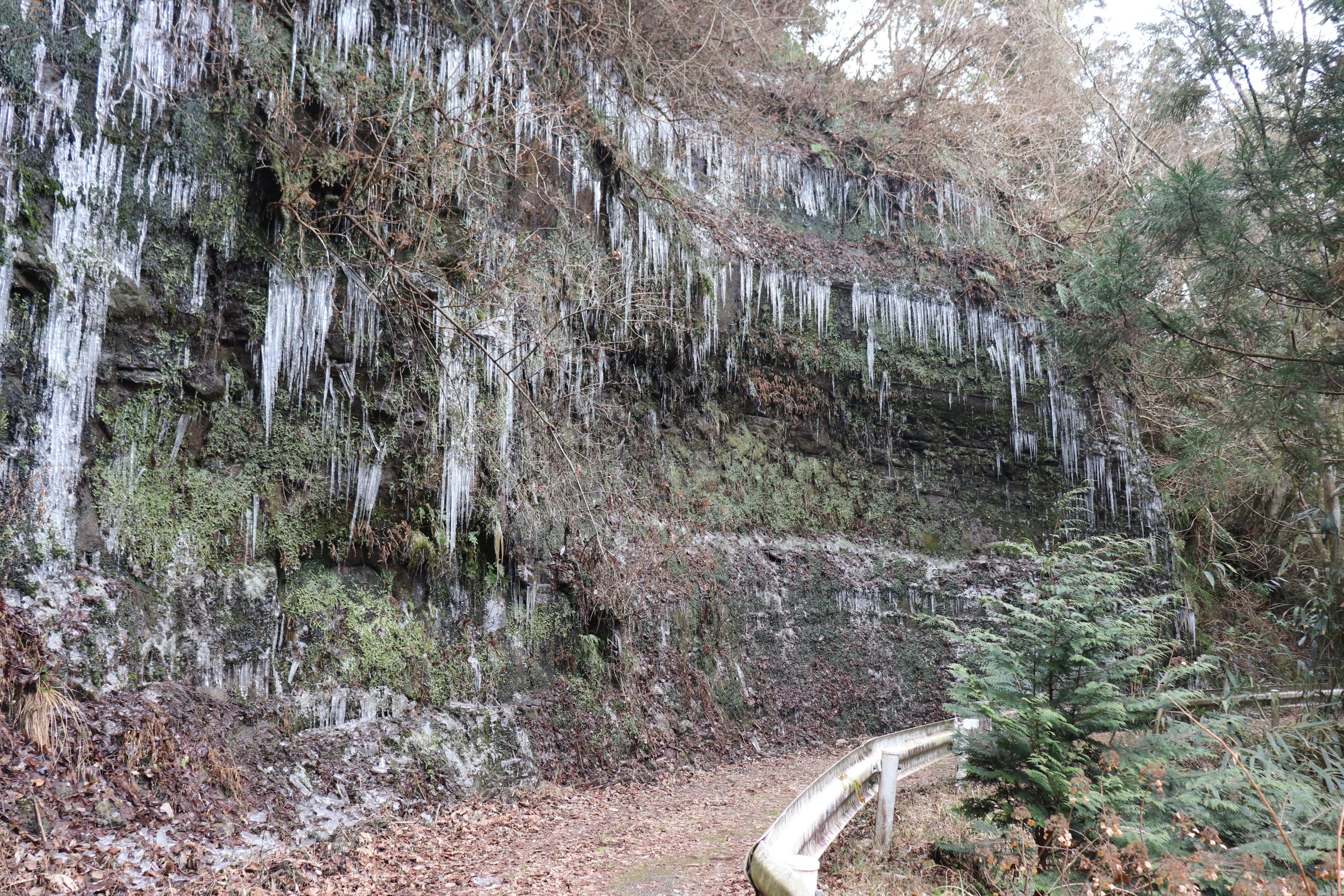 筒森町道　氷柱