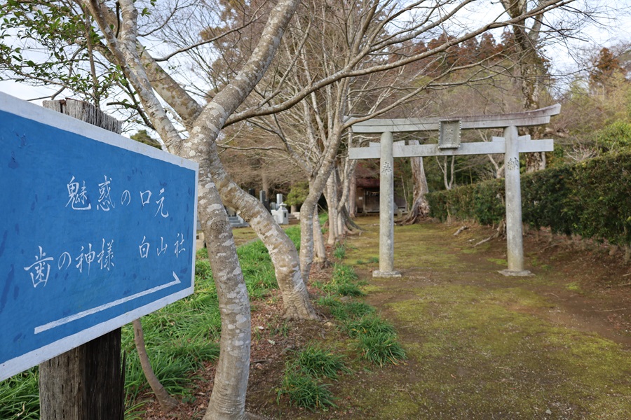 三条八幡神社白山神社