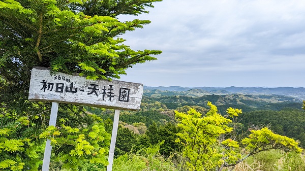 麻綿原　てんぱいえん