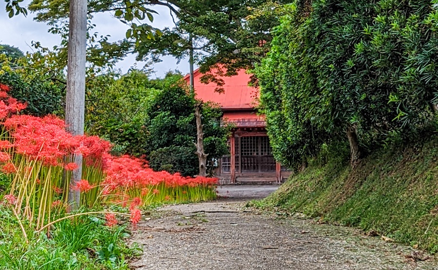 じょうしゅうじ